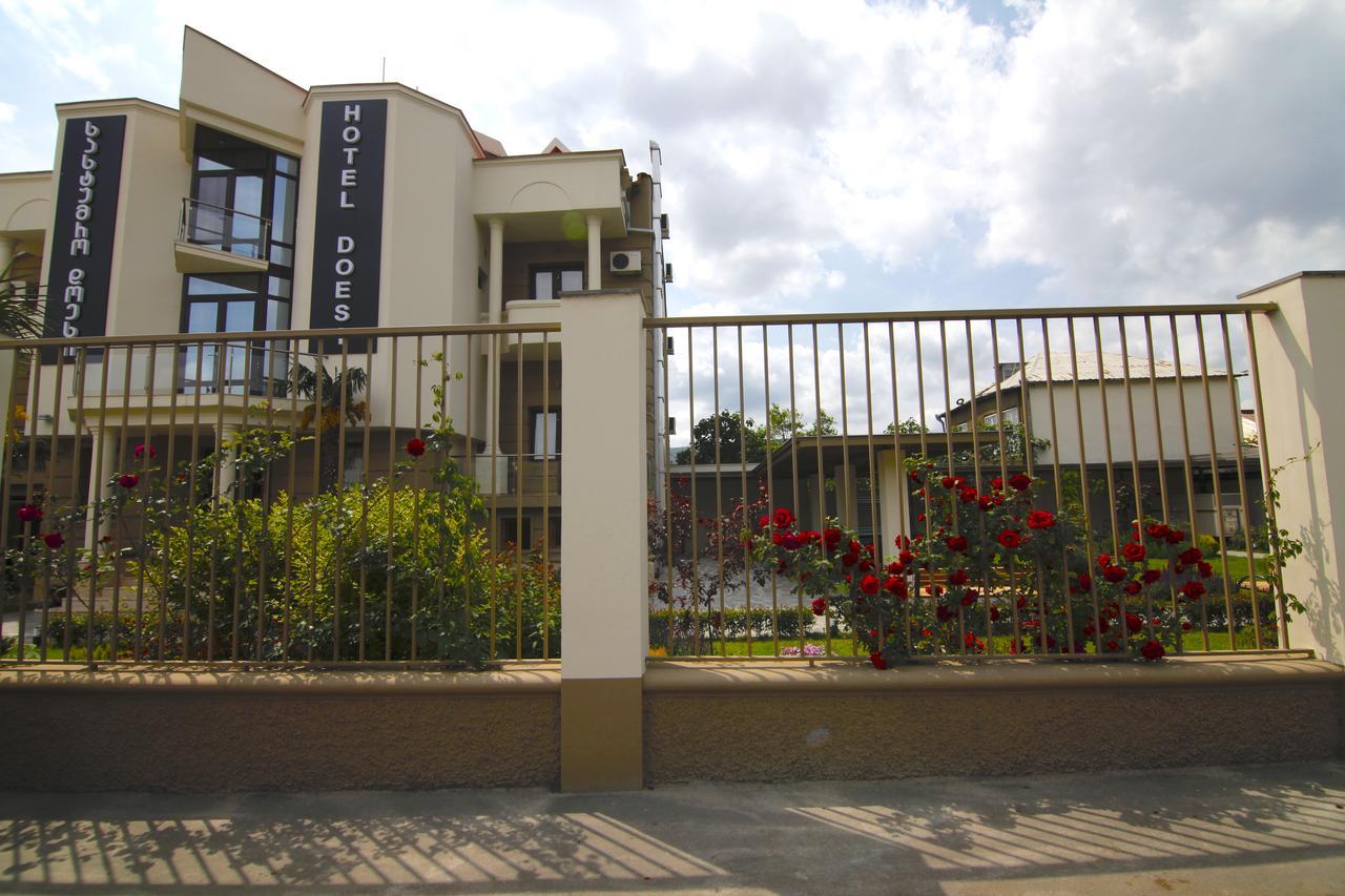 Hotel Doesi Tbilisi Exterior photo